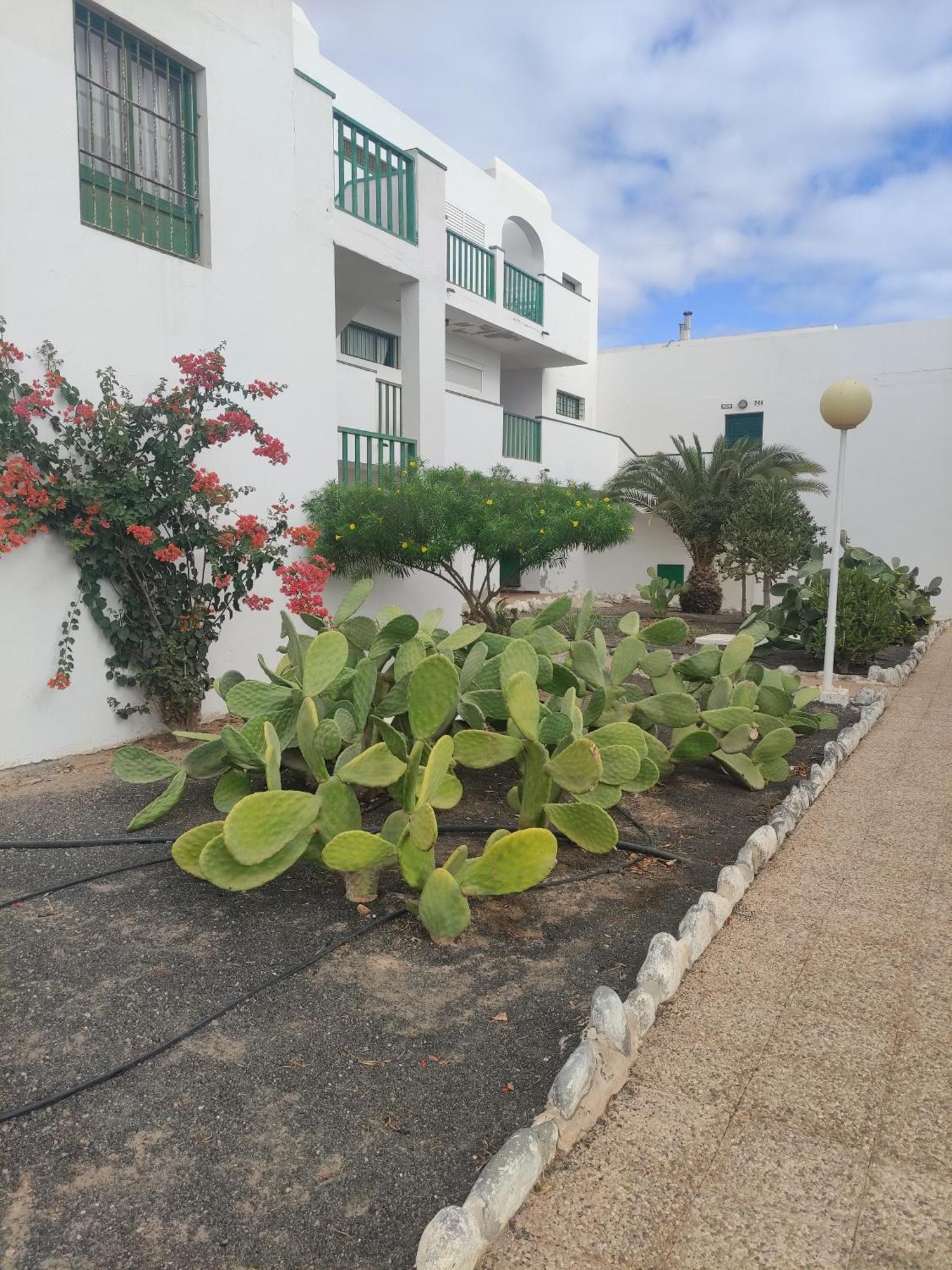Casita Perla Blanca Apartment Коста де Антигуа Екстериор снимка