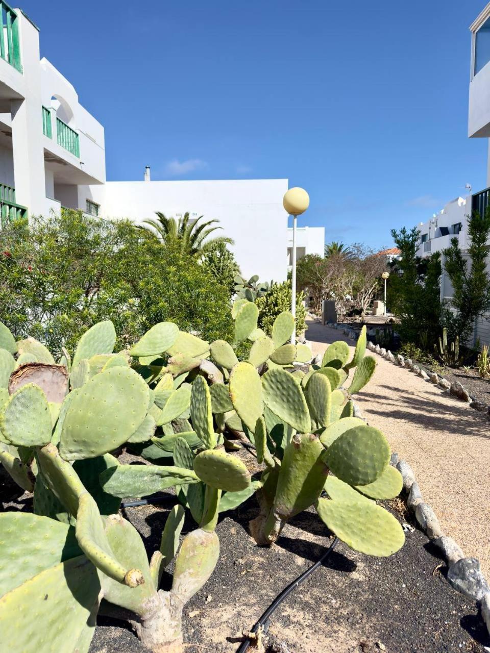 Casita Perla Blanca Apartment Коста де Антигуа Екстериор снимка